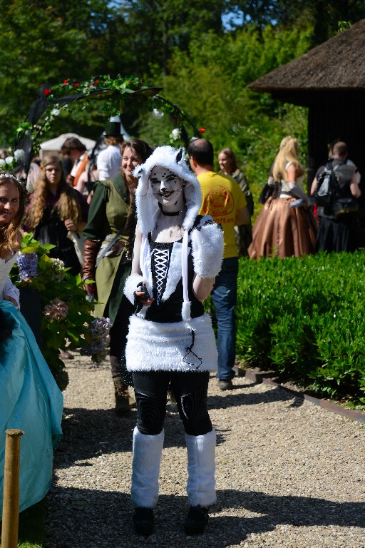 ../Images/Castlefest 2016 Zaterdag 183.jpg